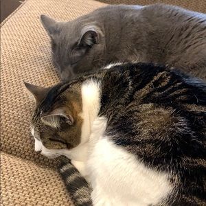 Meet your Posher, Debbie